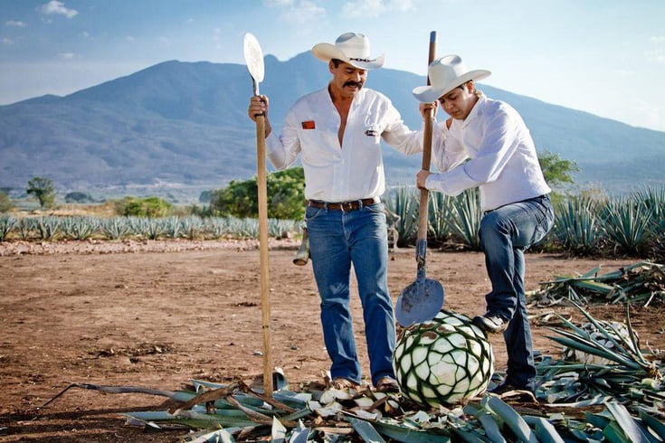 CRAFTING QUALITY TEQUILA
